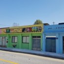 농업회사법인 (주)청정심