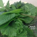 부안쌈밥 이미지