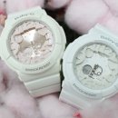 중앙동131 이미지