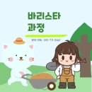 라떼아트 | 부산서면바리스타학원 크리스마스 라떼아트 수업 후기