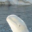 행복한바다 이미지