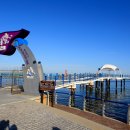 통일전망대 이미지