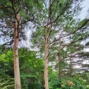 삼포공인중개사사무소 이미지