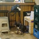 중앙대로226번길 | 부산역 소규모 파티 게스트하우스, 평일 방문 내돈내산 후기"첵앤아웃 게스트하우스"