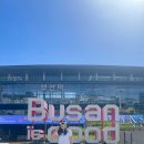 영화마을공항2호점 | Last week #207 - 부산+대마도 여행