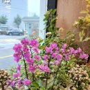 원광여자중학교 이미지