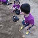 꼬마세상어린이집 이미지
