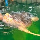 거북축산 이미지