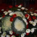 (주)성찬 이미지