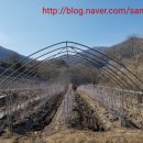 산타래 농장