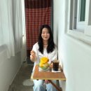 푸푸르 | 청주 성안길 신상카페 그앤푸 빙수맛집 망빙 후기