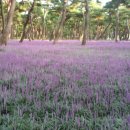 황성공원 이미지