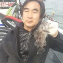 반도낚시 이미지