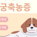 고촌동물병원 이미지