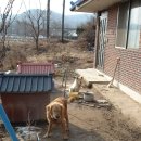 세진펜션 이미지