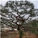 금반농장 네이버블로그