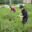 대부농장 이미지