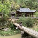 까페 가일 이미지