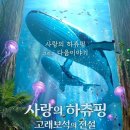 사랑보석