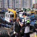 부산해양경찰서 영도파출소 이미지