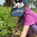 만석군농장 이미지