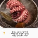 {백종원} 스페인 문어요리 불뽀레시피 이미지