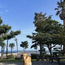 바다하우스 호스텔 이미지