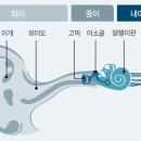 소리귀보청기 이미지