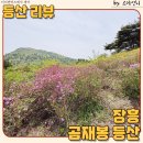아이더장흥점 | 장흥 철쭉 명소 중심지 곰재봉 봄 산행 다녀온 기록 개화 상태는 아직