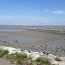 우렁이쌈밥집 이미지