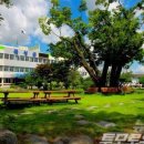 전라남도 지체장애인협회 곡성군지회 이미지