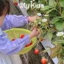 영일 농장 이미지