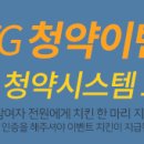 토마(TOMA) 이미지