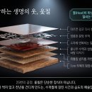 강남 한복판의 천년고찰에서, 고려의 빛을 마주하다_서울 봉은사 임충휴명장 옻칠나전특별전_2026년 8월18일_8월25일 이미지
