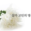 바다가좋아님께서 별세하셨습니다. 이미지