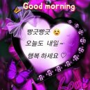 벗님들 Daum카페