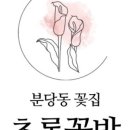 꽃방카라