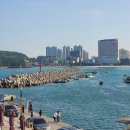 방어진활어센터 | [울산 바다 데이트] 울산 방어진 활어회센터 - 뷰 너무 좋아요~~