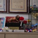 유아태권도 이미지