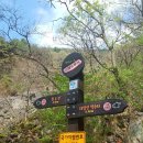 숲속나들이길 이미지