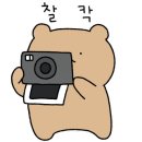 다함자동차 이미지