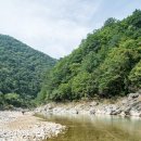 팔호광장 - 강원사대부고삼거리 | &#34;빠가살이 잡다 실패하면 꺽지라도 잡아서 매운탕 끓여 먹자&#34;라는 내린천 박투어
