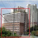 대선월드피아 이미지