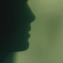 천일건축 | 하자의 공동체에 오신 것을 환영합니다 ─ 이레네 푸자다스 장편 소설 『침입자』 번역 후기