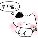 오유민동태마을(영등점) 이미지