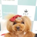 용인동물병원 이미지