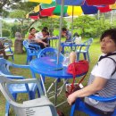 청경초등학교 이미지