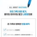 투어도우미