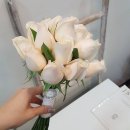 플라워데이 - 강남구 논현로6길 20 | 플라워데이