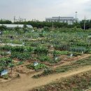 풀내음농장 이미지